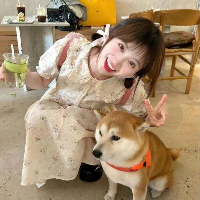 镜像世界 热播封面
